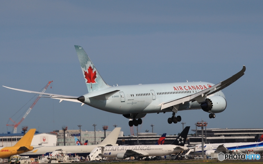 AIR CANADA 787-8 到着　