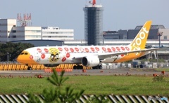 出発　scoot 787-9 9V-OJE