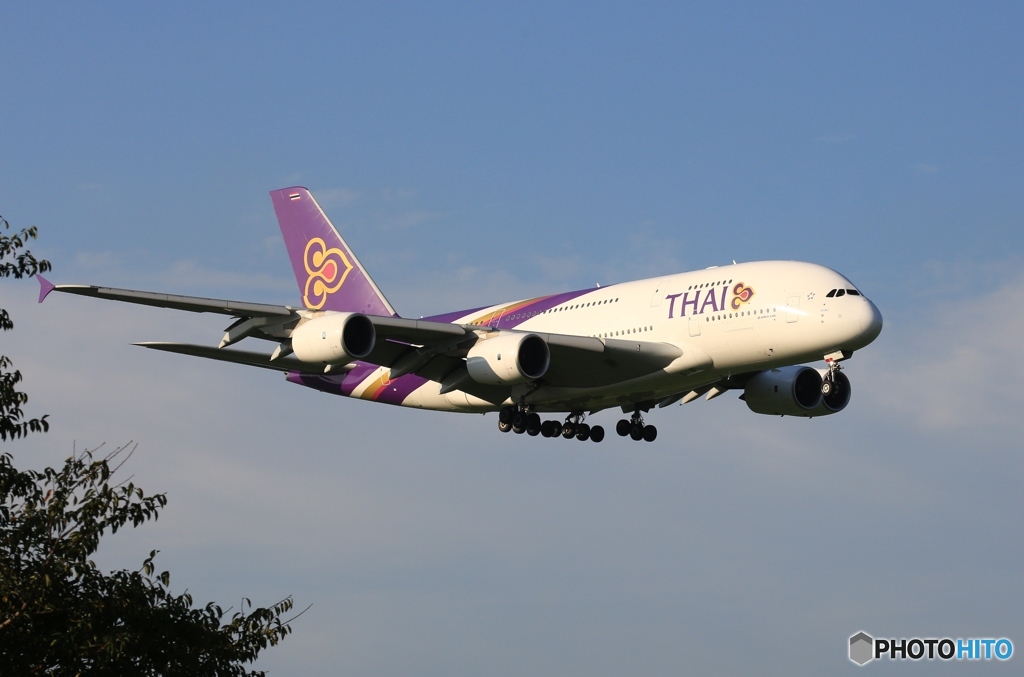 THAI A380-841 HS-TUA 到着　