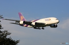 THAI A380-841 HS-TUA 到着　