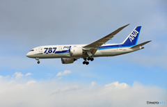 ☀ ANA 787-8 JA814A 着地前