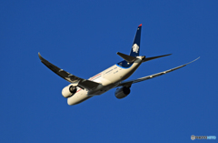 「空色」 AEROMXICO 787-8 XA-AMR飛行