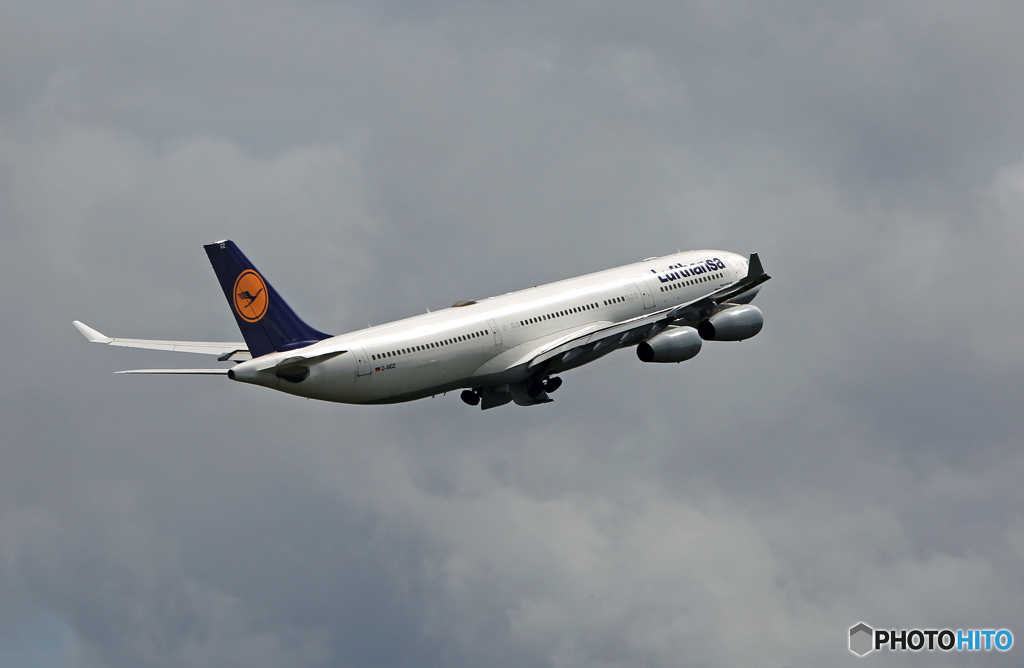 飛び立ち Lufthansa A340-313 D-AIGE
