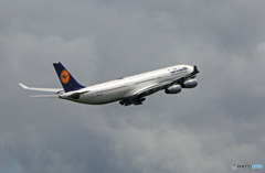 飛び立ち Lufthansa A340-313 D-AIGE