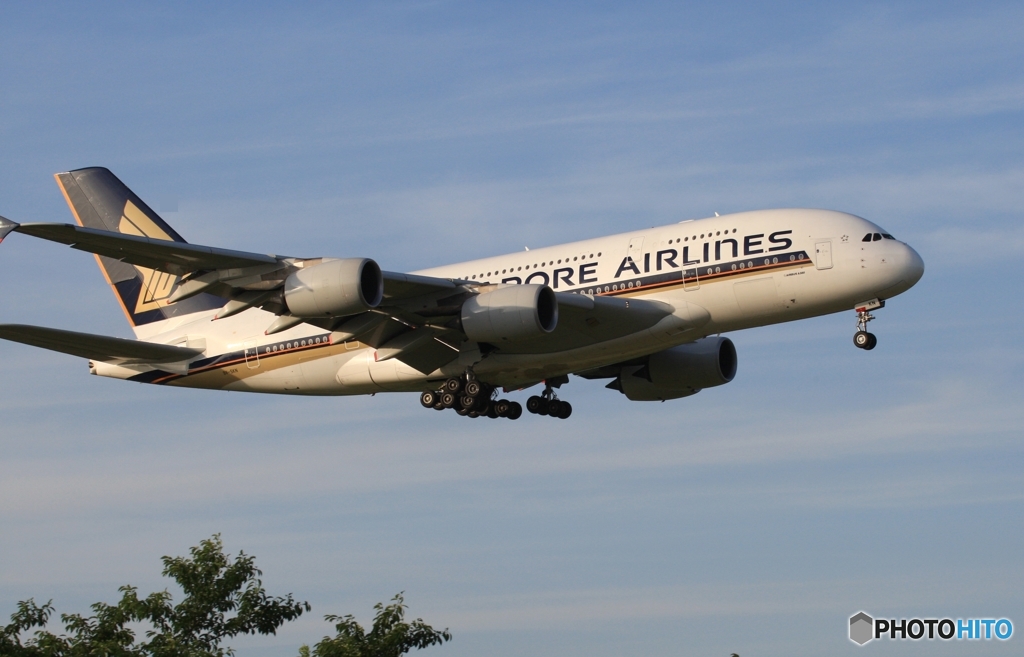 ☮　関西空港　A380　8/8 ～ 8/16　就航・記念　☮