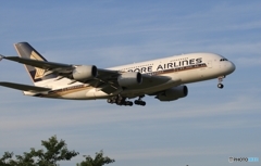 ☮　関西空港　A380　8/8 ～ 8/16　就航・記念　☮