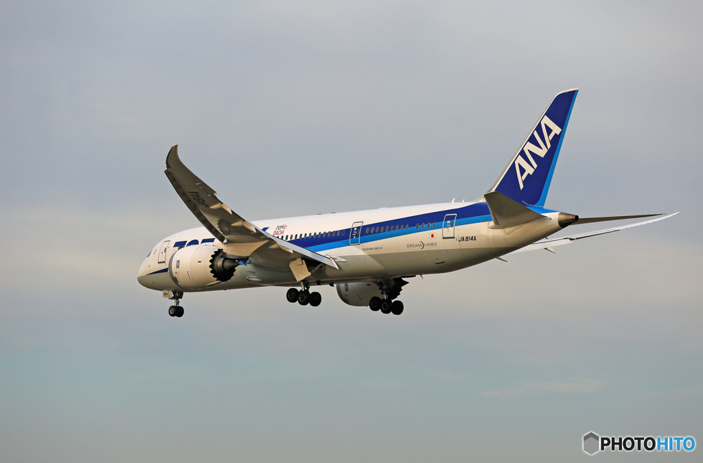 着陸　ANA 787-8 JA814A