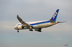 着陸　ANA 787-8 JA814A