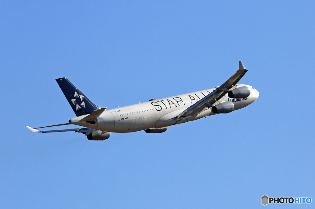 Lufthansa A340-300 D-AIFF 離陸　