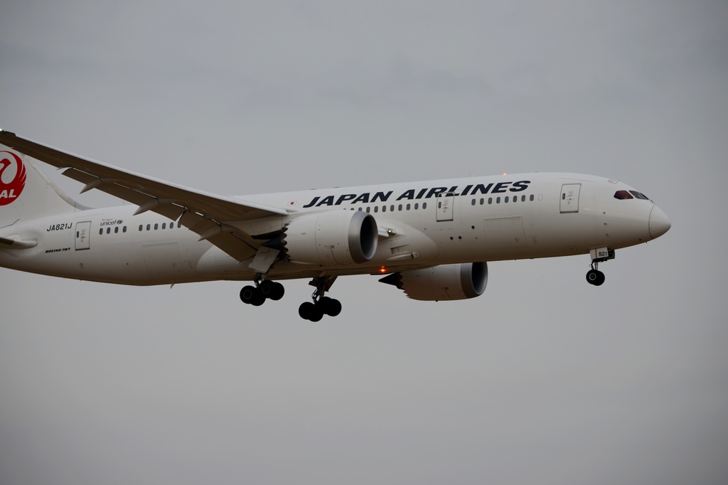 JAL 787-8 到着