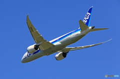飛び立ち ANA 787-8 JA805A