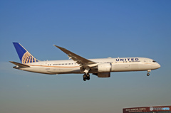 UNITED 787-8 N38950 着陸 