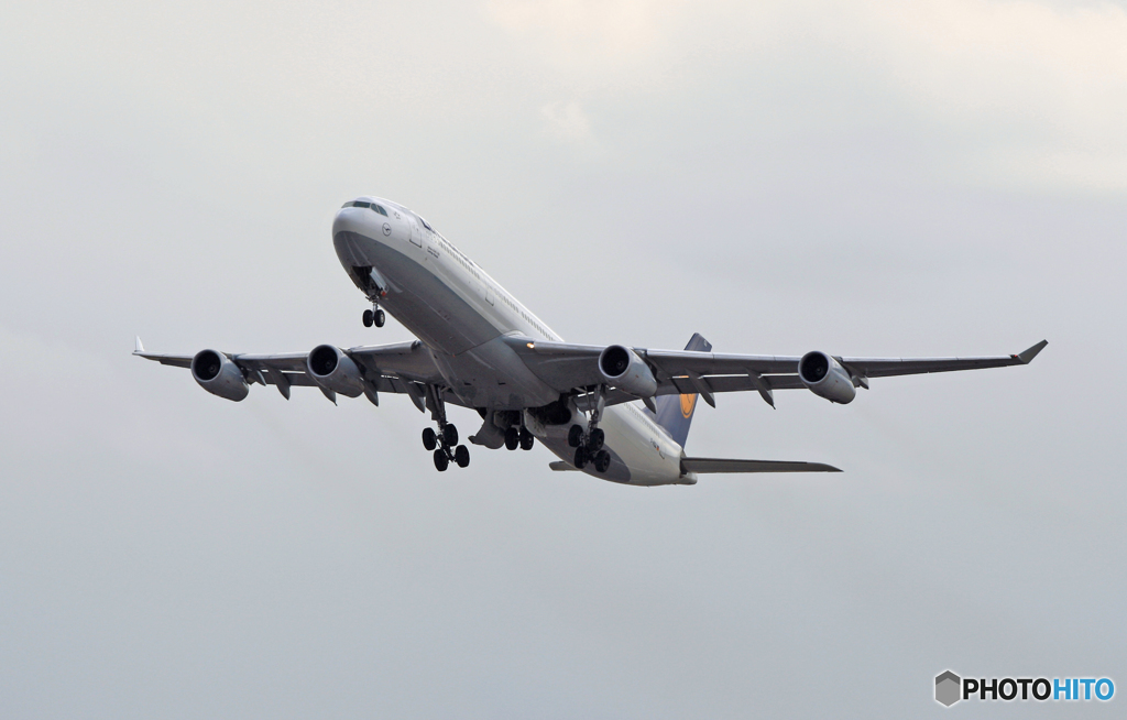 飛び立ち　Lufthansa A340-300 D-AGJ