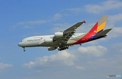 成田空港で、念願の捕獲「ASIANA エアバスA380」