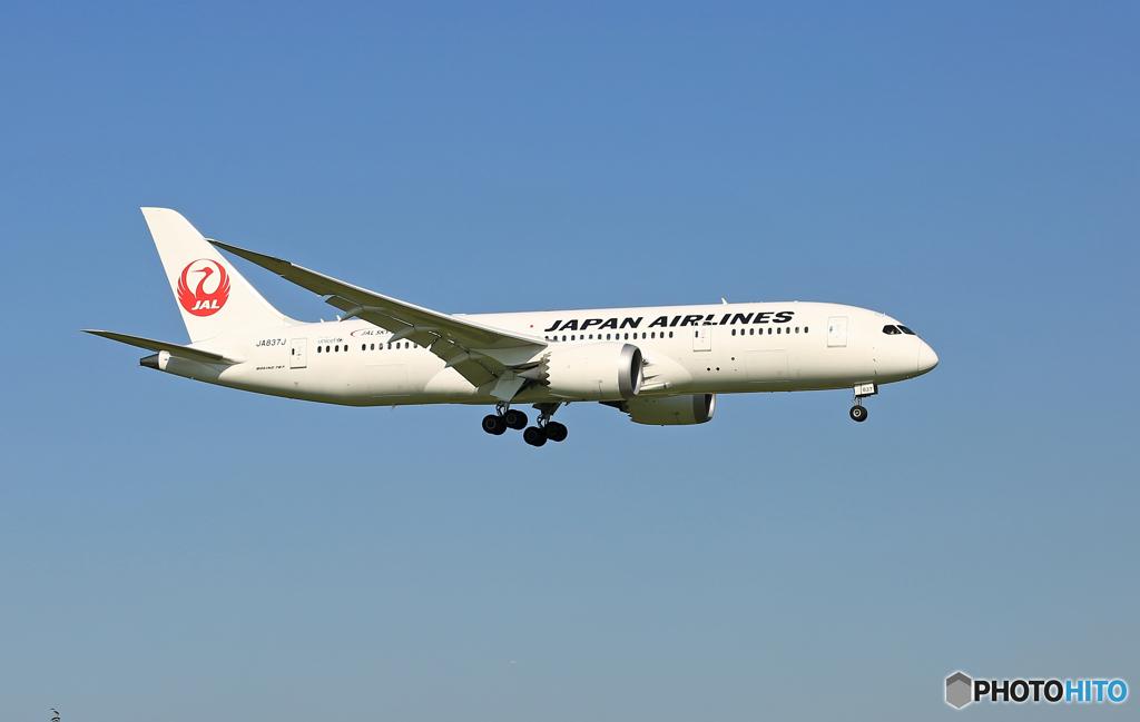 着陸 JAL 787-8 JA837J