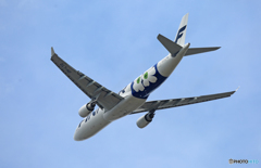 [青い空]　Finnair A330-300 OH-LTO飛び立ち