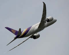 Thai 787-8 飛行　