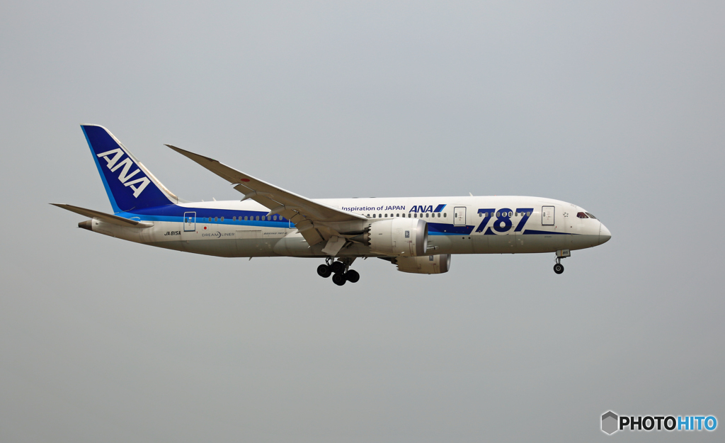 ANA 787-8 JA815A 到着 