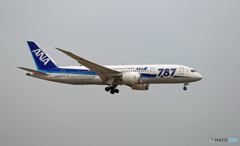 ANA 787-8 JA815A 到着 