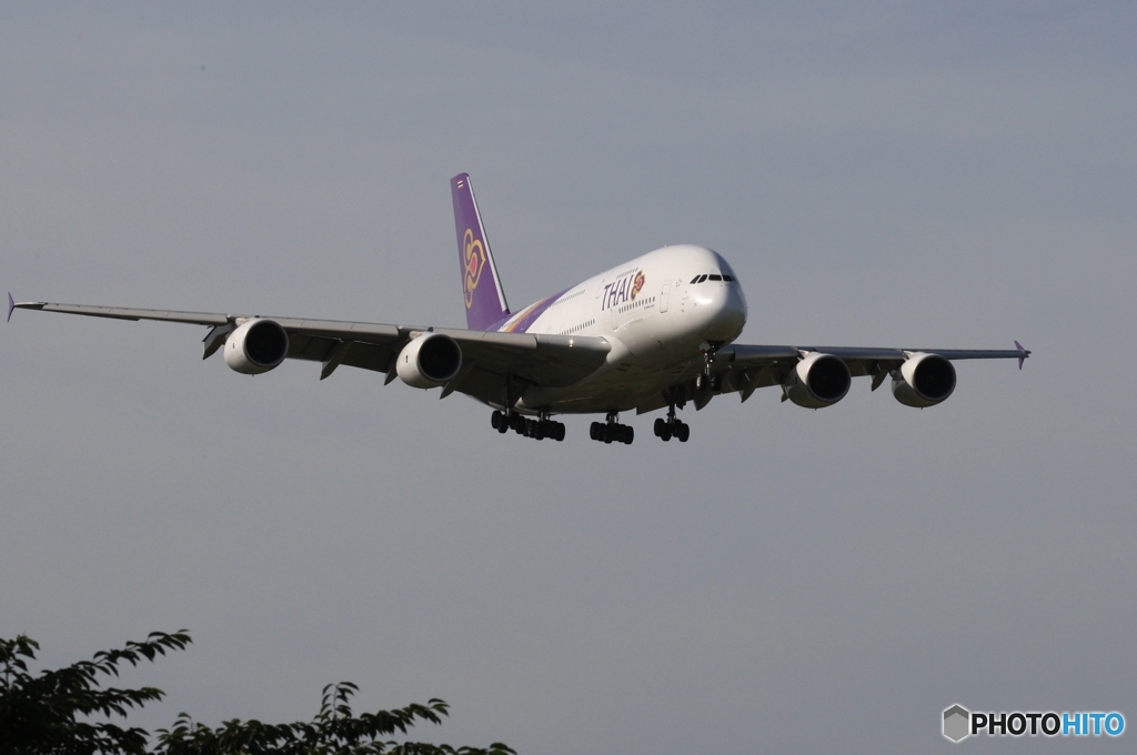 Thai A380-841 到着　