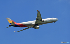 [青空] Asiana A330-323 HL7736