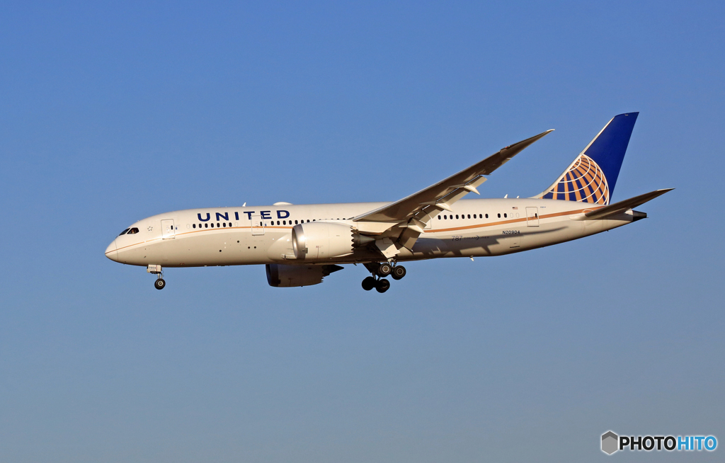 UNITED 787-8 N20904