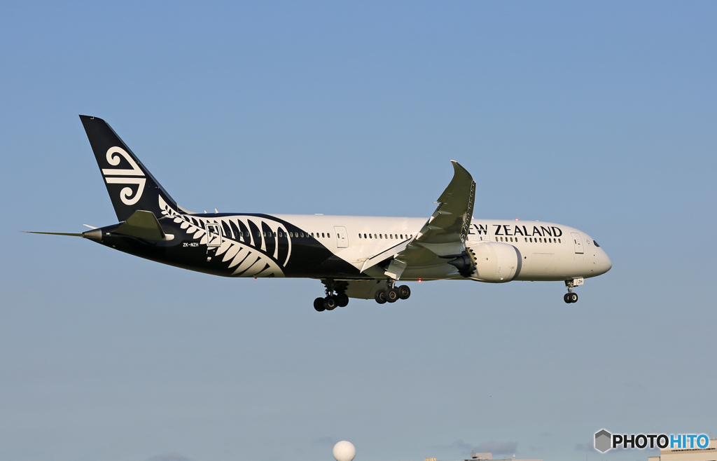 「そらー」 Air New Zealand B787-9 ZK-NZH