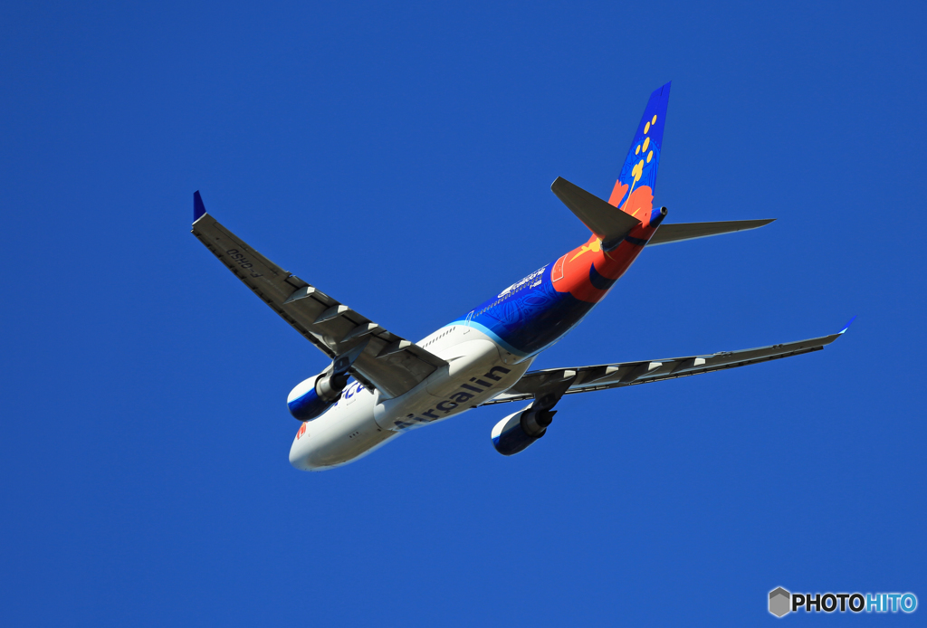 「ぶるー」 Air Calin A330-202 F-OHSD