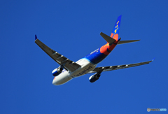 「ぶるー」 Air Calin A330-202 F-OHSD