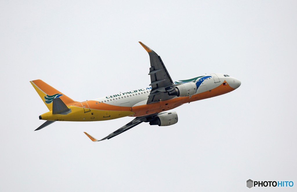 出発 CEBU A320-214 RP-C3277