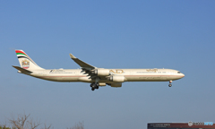 着陸 ETIHAD A340-642 A6-EHE