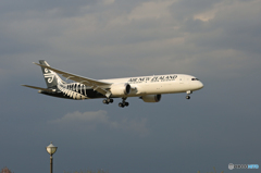 「すかい」 Air NZ' 787-9 ZK-NZK 到着 「すかい」 Air NZ' 787-9 ZK-NZK 到着