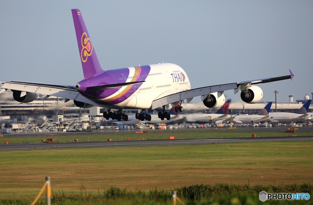 ☮THAI A380-841 HS-TUE ☮Landing