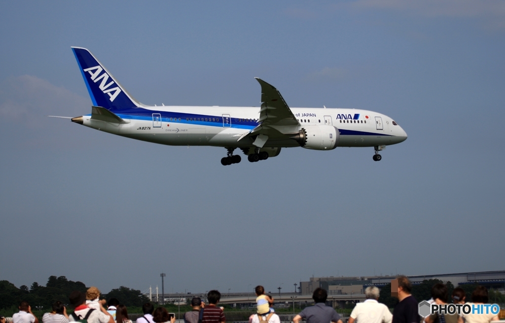 着陸　ANA 787-8