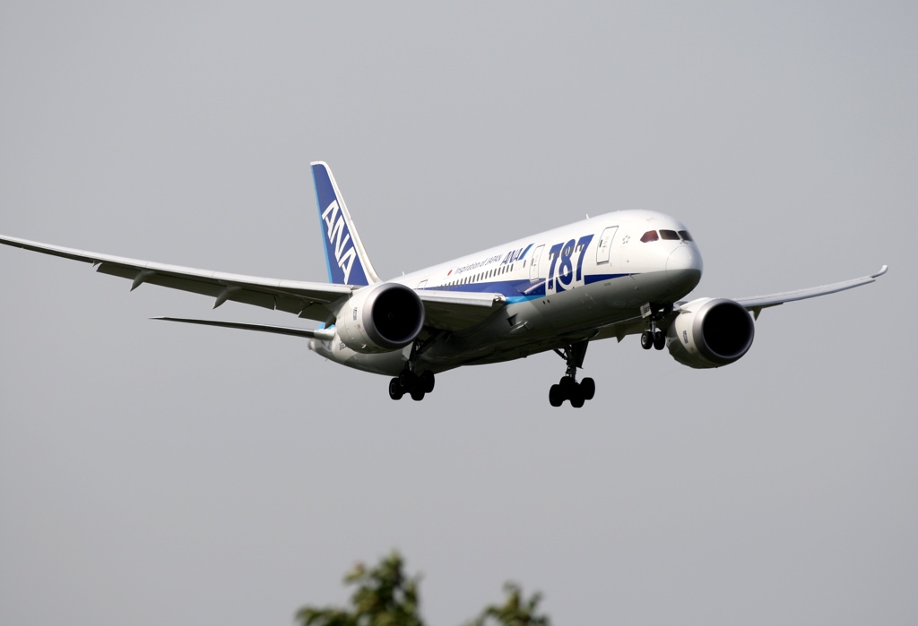 ANA 787-8 着陸　