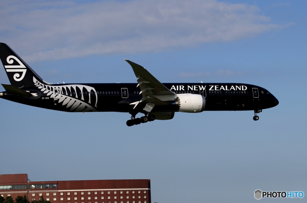 Air New Zealand 「All Blacks」787-9 ZK-NZE