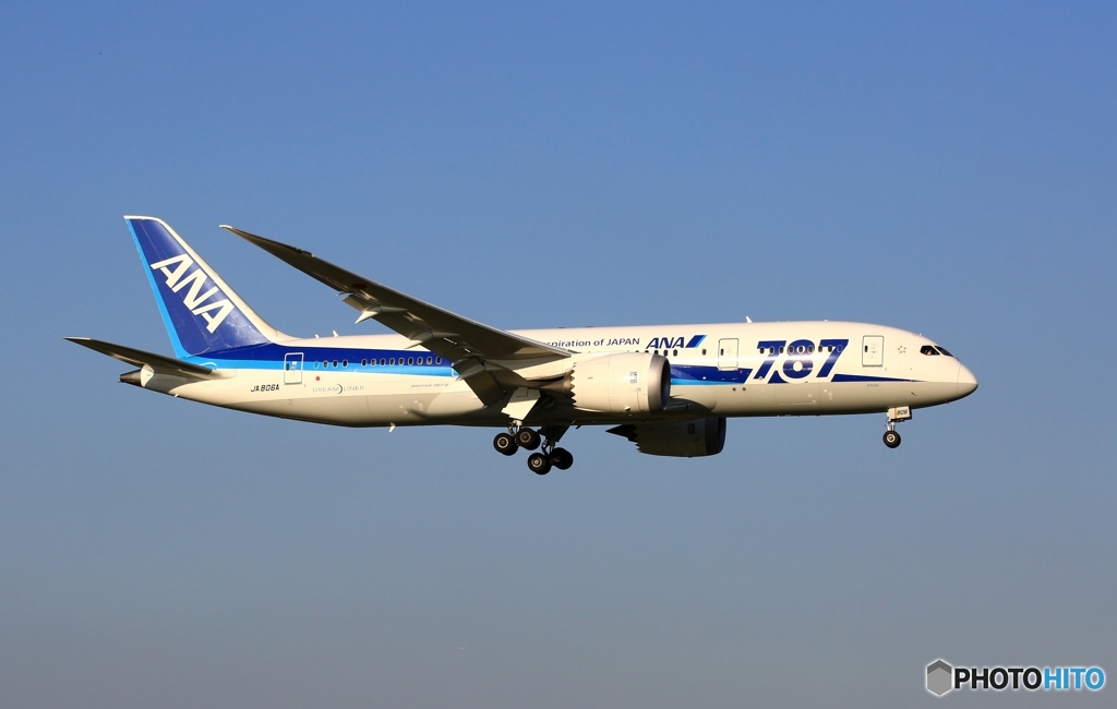 ANA 787-8 JA806A 着陸 