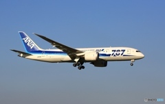 ANA 787-8 JA806A 着陸 