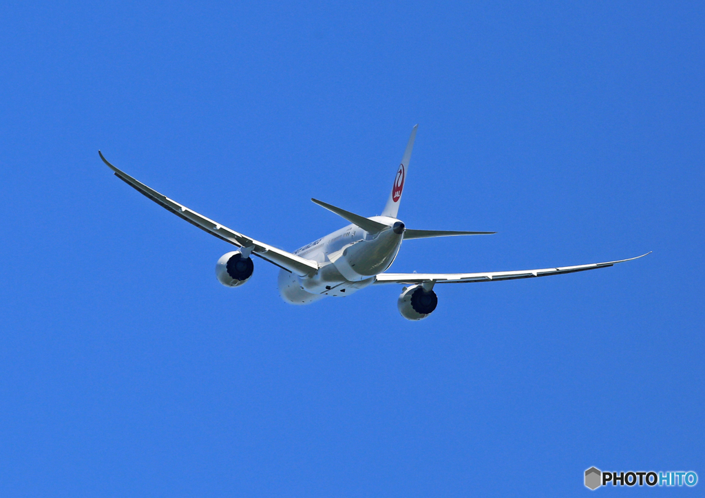 ✈JAL 787-8 JA823J Takeoff