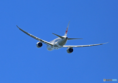 ✈JAL 787-8 JA823J Takeoff