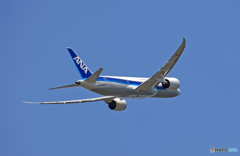 ANA 787-8 JA831A 離陸　
