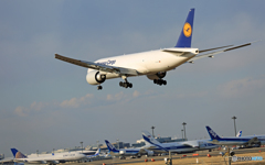 「良い天気」 Lufthansa 777-FBT D-ALFD着陸