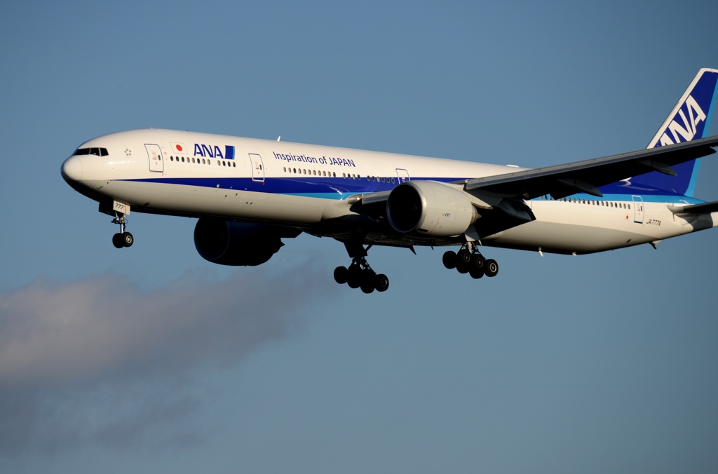 ANA 777-300
