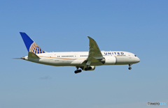 「青色」 UNITED 787-8 N27908 着陸