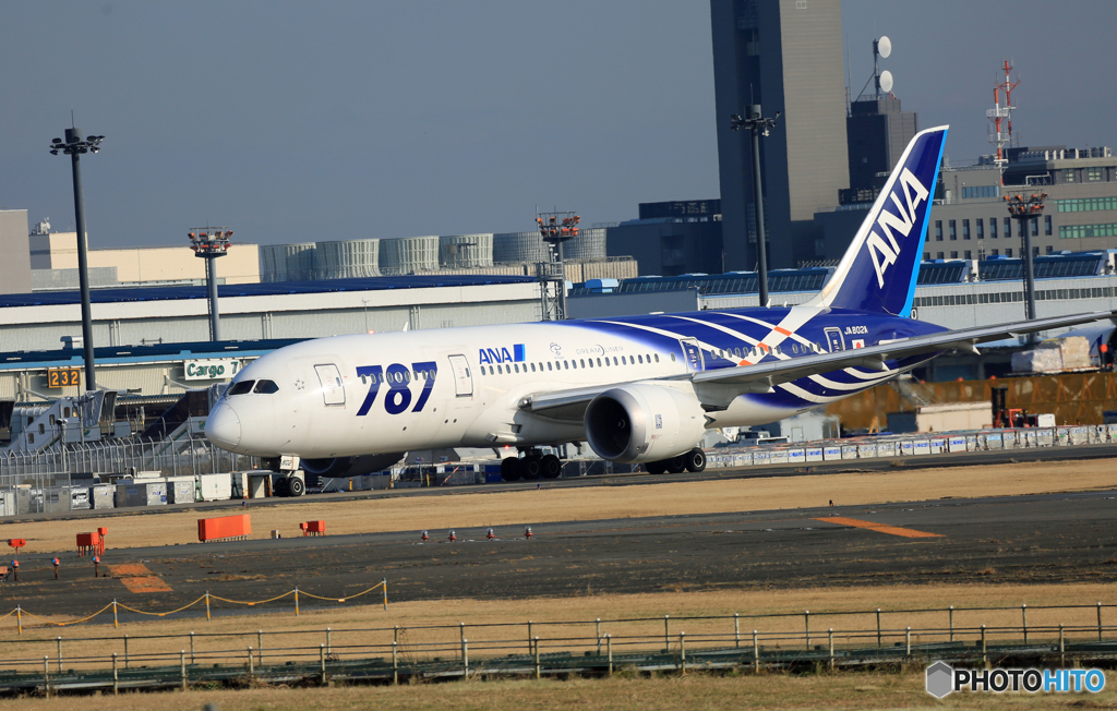 「空色」ANA 787-8 JA802A 離陸