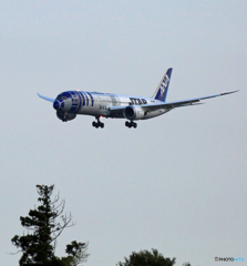 ANA 787-9 JA873A  着陸　