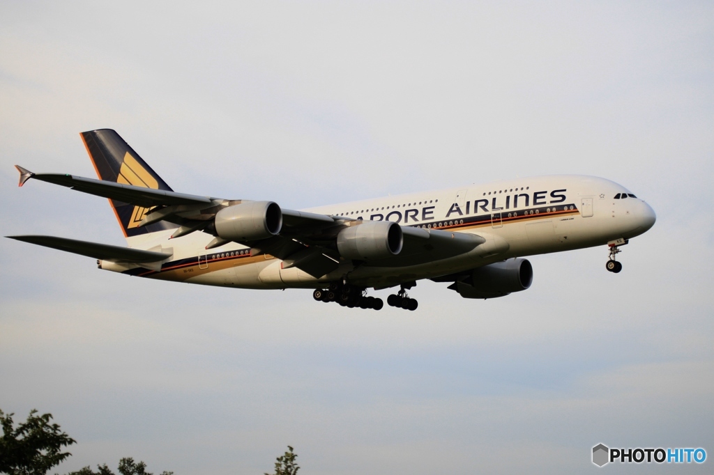 関西空港☮ A380 8/8 ～ 8/16 ☮ 就航・記念　