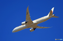 「そらー」 JAL 787-9 JA864J 離陸