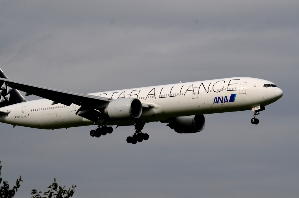 着陸（121）ANA 777-300 