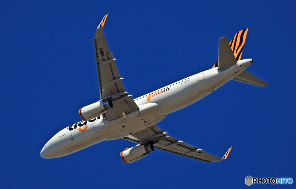 離陸 tigerair A320-232 B-50011